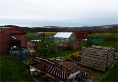 Woodend Barn allotments