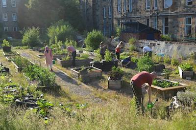 Volunteers at a South Seeds garden site